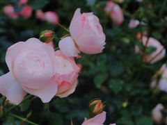 -人民公园(罗湖区)