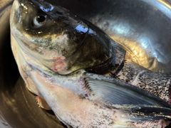 -好灶头妈妈菜·千岛湖土菜地标美食