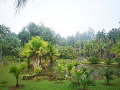 -中国科学院西双版纳热带植物园