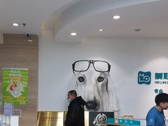 -美联众合动物医院·24h转诊中心