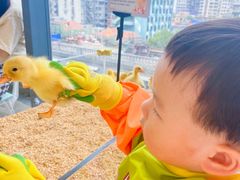 -怪兽屋·羊驼·猫咖·狗咖(俊华广场店)