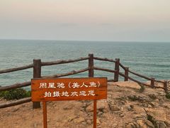 -杨梅坑