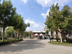 -奔跑吧乐园