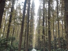 -上海怡沁园度假酒店