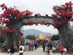-天适樱花悠乐园