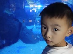 -成都浩海立方海洋公园