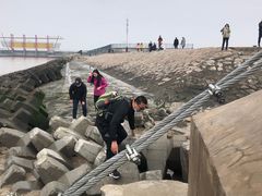 -南汇嘴观海公园