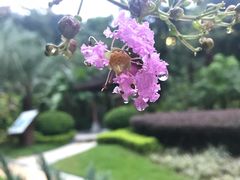 -汇雅温泉
