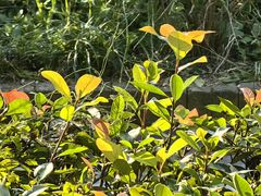 -日出青木·杭帮菜名店