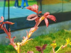 -西安电影制片厂