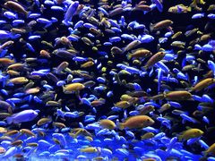 -成都浩海立方海洋公园