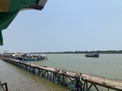 -大湾区中央湿地公园-十九涌