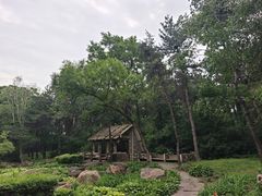 -沈阳植物园
