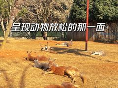 -常州淹城野生动物世界