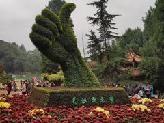 -富乐山