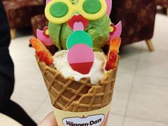 -哈根达斯(石家庄北国店)