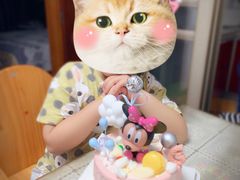-你好独角兽·蛋糕甜品