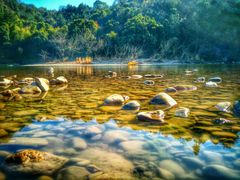 android_upload_pic-楠溪江风景名胜区