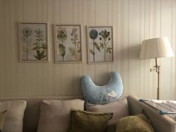 -皇家月府月子中心(沈阳店)