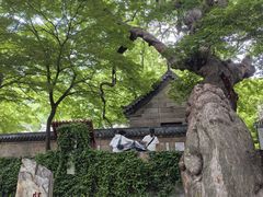 -青岛崂山太清宫