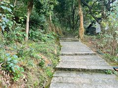 -黄埔油麻山森林公园