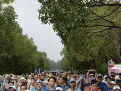 -上海海湾国家森林公园