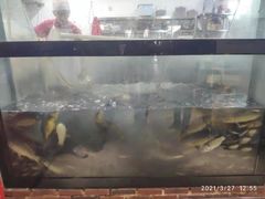 -肥鱼屯活鱼锅(惠工街店)