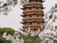 -海天禅寺