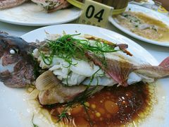 清蒸东星斑-覃记海鲜美食餐厅