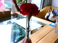 -春树下·树屋花房西餐厅(罍街AS1980店)