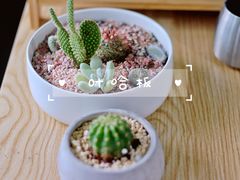 -蜜蜂小象·榴莲千层蛋糕(时代汇11栋店)