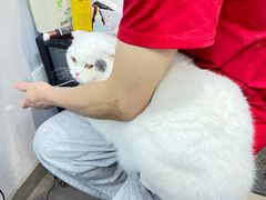 -PETKIT小佩宠物(古北店)