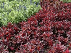 -长春公园(普阳街道)