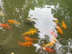 -杭州植物园