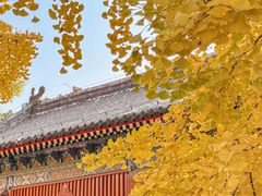 -承恩寺