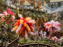 -正佳雨林生态植物园