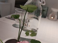 -春树下·树屋花房西餐厅(罍街AS1980店)