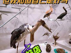 -中国湿地博物馆