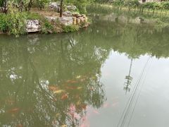 -北宫国家森林公园