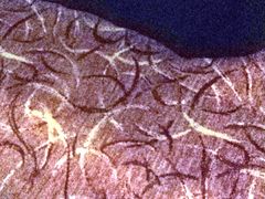 -苏州西交利物浦大学国际会议中心