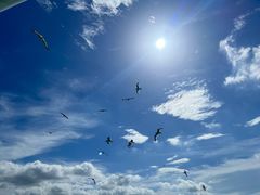-蚝堡海鲜·威海菜·海肠捞饭·烧烤·亚洲吃蚝公司(幸福门店)