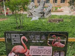 -哈尔滨北方森林动物园
