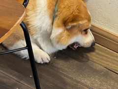 -肥朵食堂(带梦胡同店)