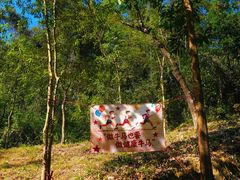 -广州白江湖森林公园