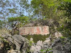 -陶祖圣境风景区
