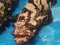 -百富源·海鲜辽菜(和平北大街店)