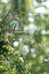 -CHOCO-启蔻婚礼(三亚公司)