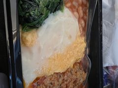 -新加坡航空公司(ION)