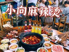 -小向麻辣烫(天街总店)