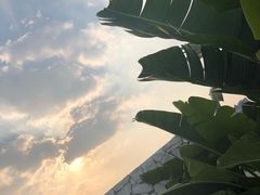 -天空花园餐吧·生日·团建(南山店)